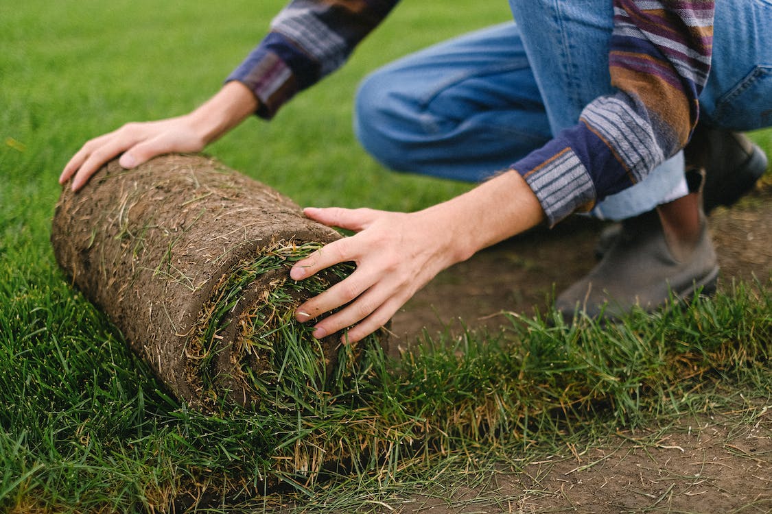 Jak przygotować ziemię pod trawnik? Zakładanie trawnika – zrób to z nami krok po kroku