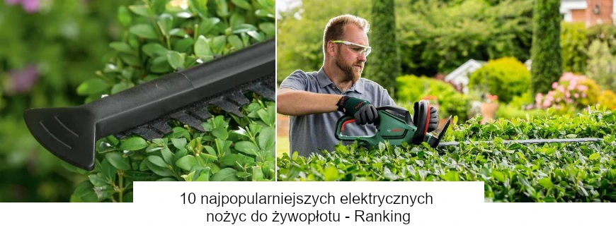 5 najpopularniejszych elektrycznych nożyc do żywopłotu - Ranking