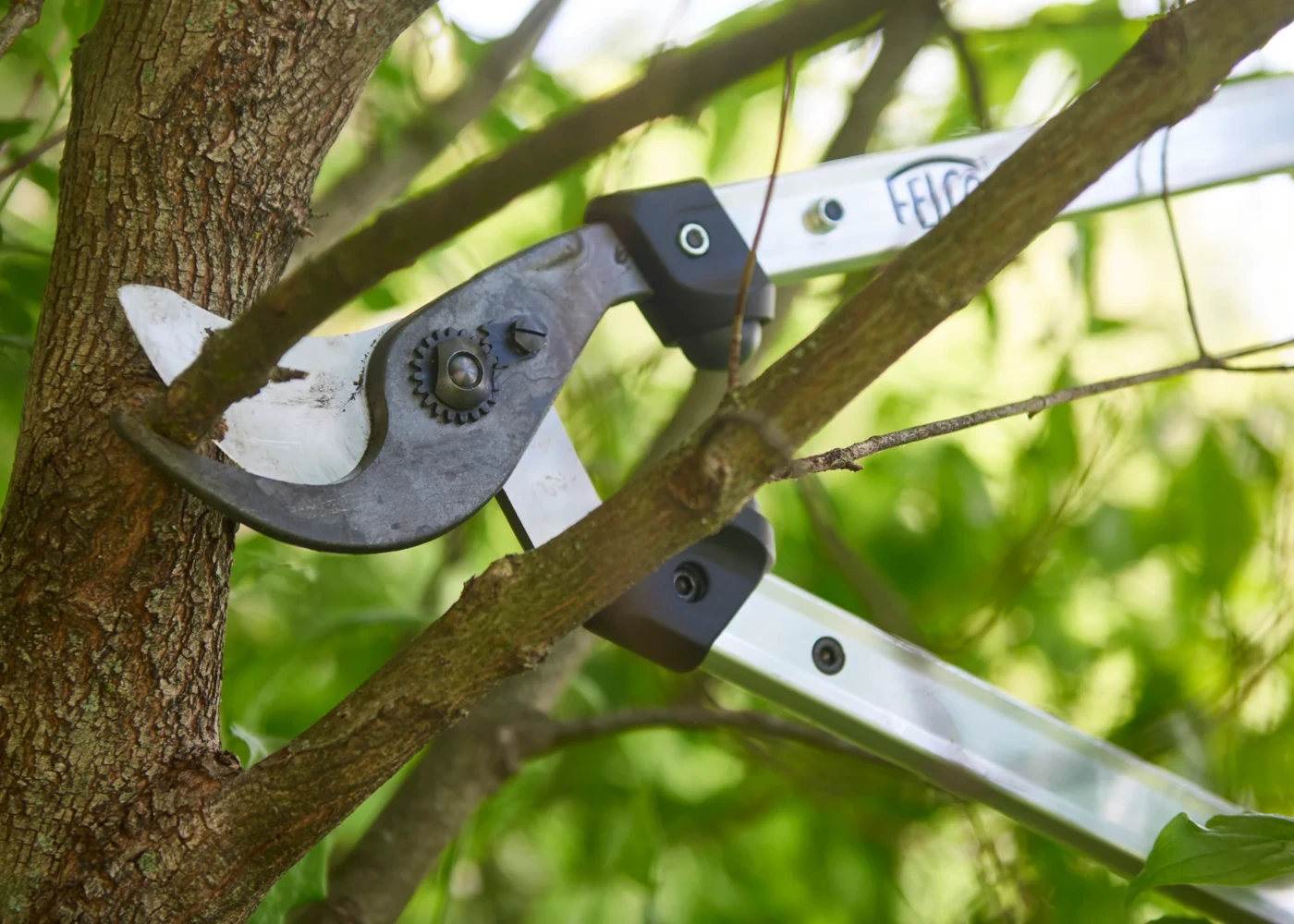 Sekator Felco, model 211-60