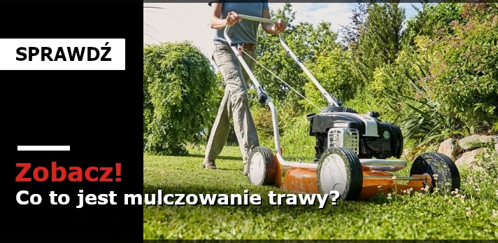 Co to jest mulczowanie trawy?