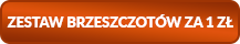 Kup narzędzie FEIN MULTIMASTER i otrzymaj zestaw brzeszczotów za 1 zł netto!