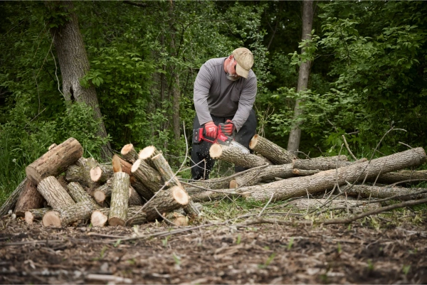 Mini pilarka łańcuchowa Milwaukee M18 FHS20-552