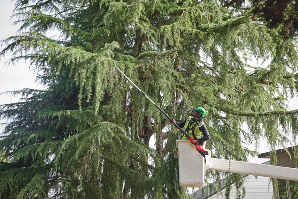 Podkrzesywarka teleskopowa Milwaukee M18 FTPS30-121