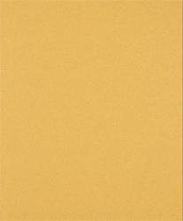 Papier ścierny Bosch EXPERT C470 230 mm x 280 mm, G 80 2608900959