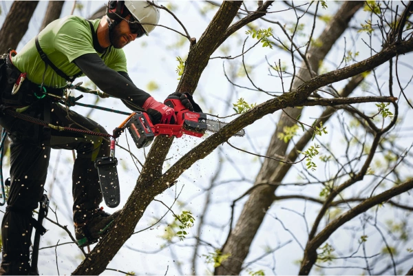 Mini pilarka łańcuchowa Milwaukee M18 FHS20-552