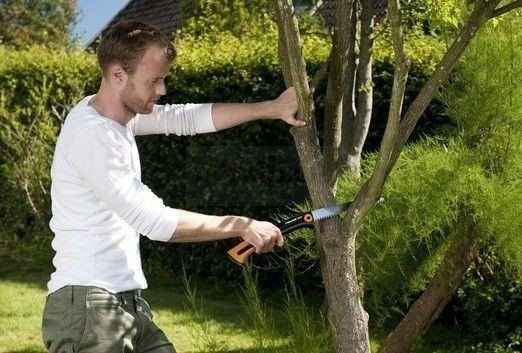 Piła do gałęzi (S) Fiskars Xtract 1000613