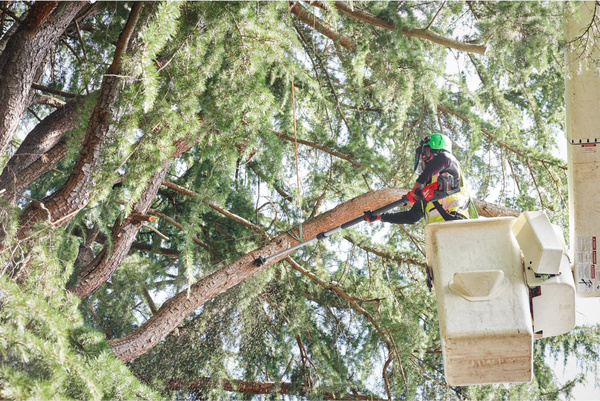 Podkrzesywarka teleskopowa Milwaukee M18 FTPS30-121