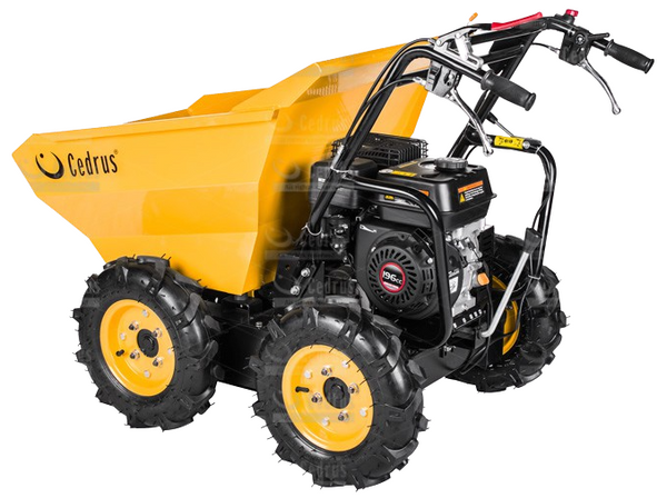 Transporter spalinowy Cedrus TR300