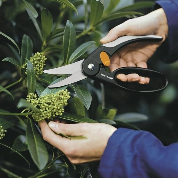 Nożyce ogrodowe Fiskars 1001533