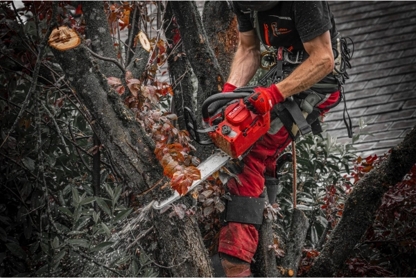 Pilarka łańcuchowa akumulatorowa Milwaukee M18 FTHCHS35-802