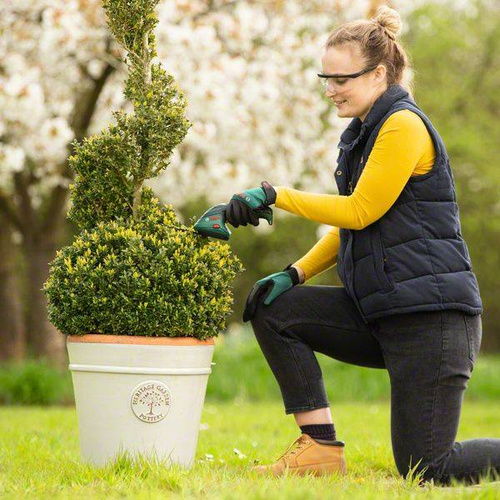 Nożyce do trawy Bosch ISIO