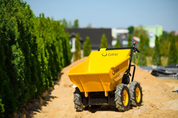 Transporter spalinowy Cedrus TR300