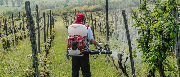  Opryskiwacz spalinowy Cifarelli M1200