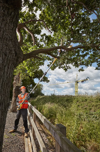 Podkrzesywarka DeWALT DCMPS567P1