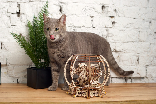 Mechaniczne akwarium UGEARS 70155