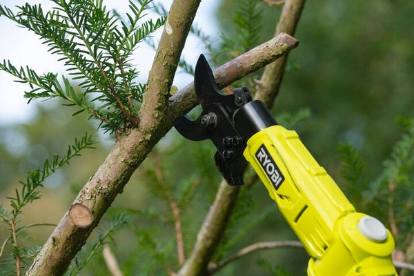 Sekator na wysięgniku Ryobi RY18PLA-0