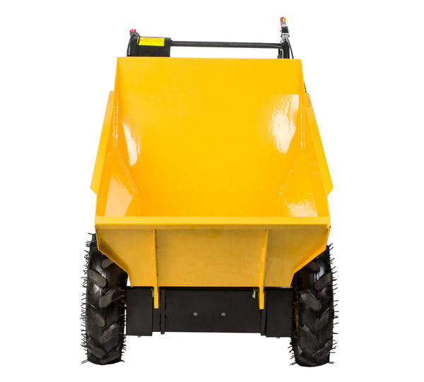 Transporter spalinowy Cedrus TR300