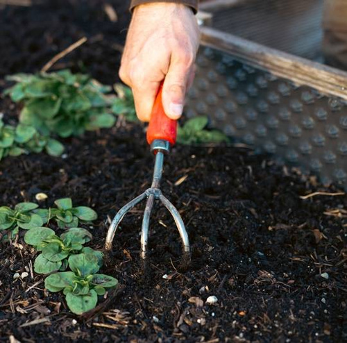 Kultywator Felco 411