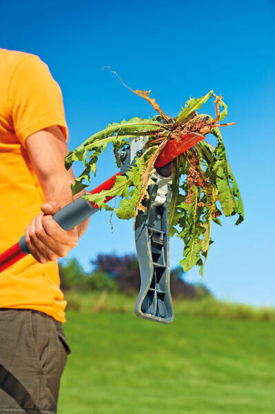 Wyrywacz do chwastów Wolf-Garten iW-A 73AAA001650