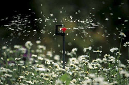 Zraszacz rotacyjny Micro-Drip-System 360° Gardena 01369-29