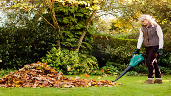 Odkurzacz ogrodowy Bosch ALS 25