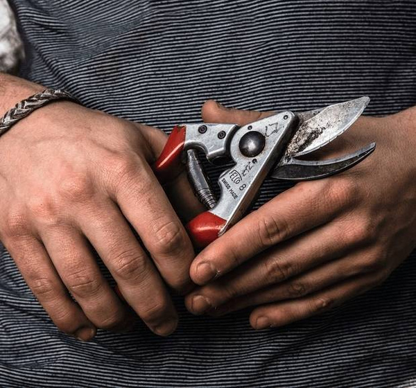 Sekator FELCO 8