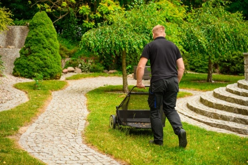 Zbieracz do liści pchany 66 cm Cedrus SP31110