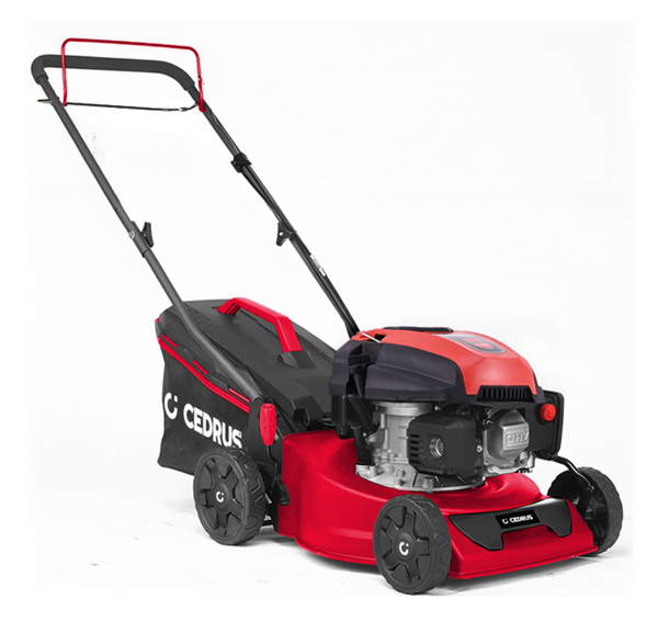 Kosiarka spalinowa Cedrus KS42S CEDKS42S