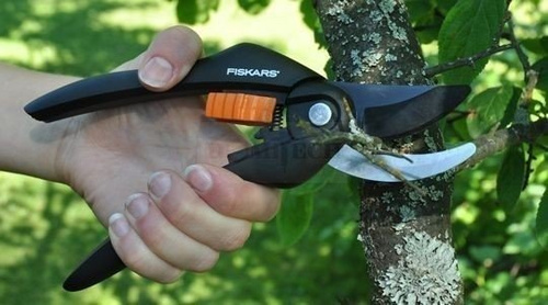 Sekator kowadełkowy Fiskars P25