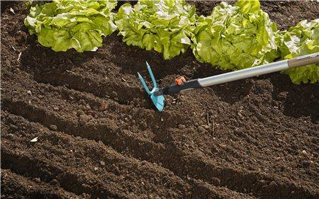 Motyczka sercowa 7cm 2 zęby Combisystem GARDENA 03215-20