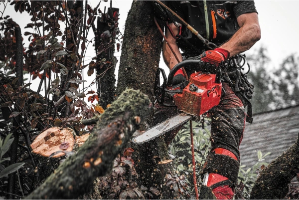 Pilarka łańcuchowa akumulatorowa Milwaukee M18 FTHCHS30-0