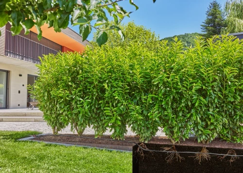 Linia kroplująca Gardena Micro-Drip-System do rzędów roślin - zestaw 25 m 13500-20