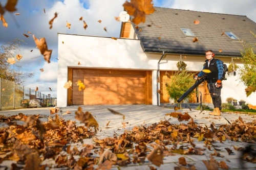 Dmuchawa do liści spalinowa Cedrus DM05PRO CEDDM05PRO