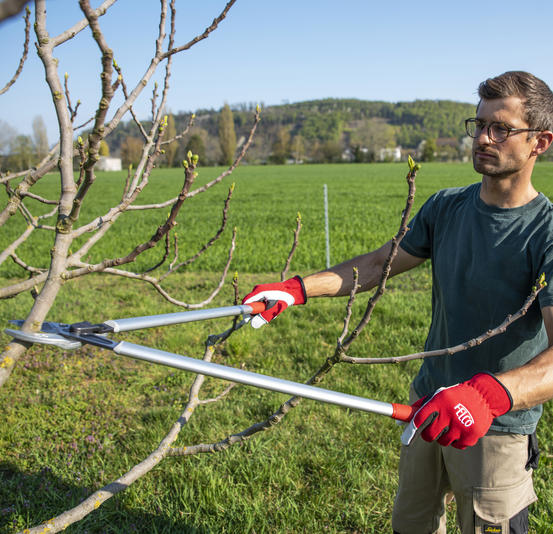Sekator FELCO 231 80 cm z kowadłem zakrzywionym