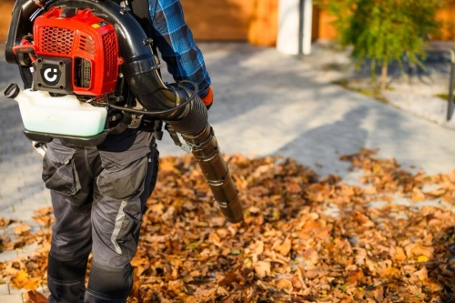 Dmuchawa do liści spalinowa Cedrus DM05PRO CEDDM05PRO