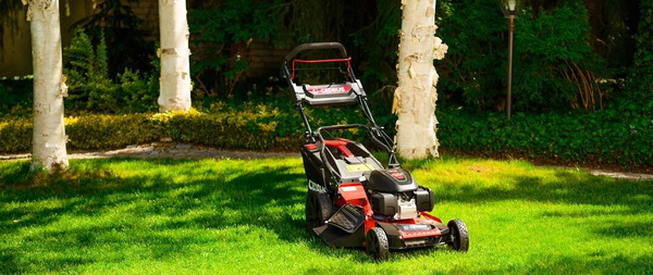 Kosiarka spalinowa z napędem Cedrus KS53S-H AL z silnikiem Honda