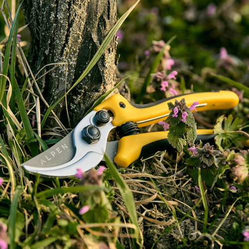 Sekator Alpen Gelbhorn 140