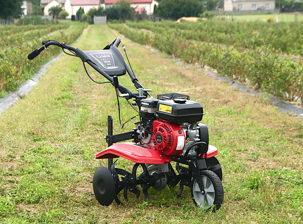 Glebogryzarka spalinowa Cedrus GL05