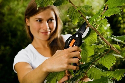 Sekator nożycowy Fiskars P26