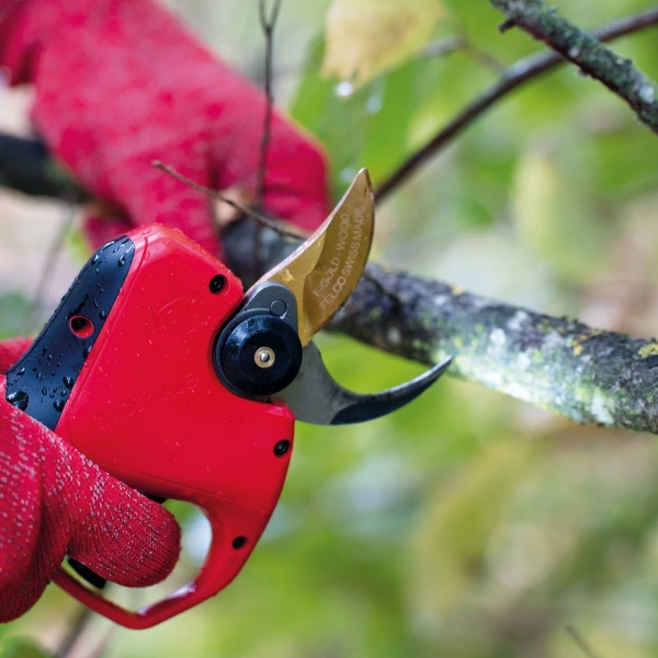 Sekator akumulatorowy FELCO 834W