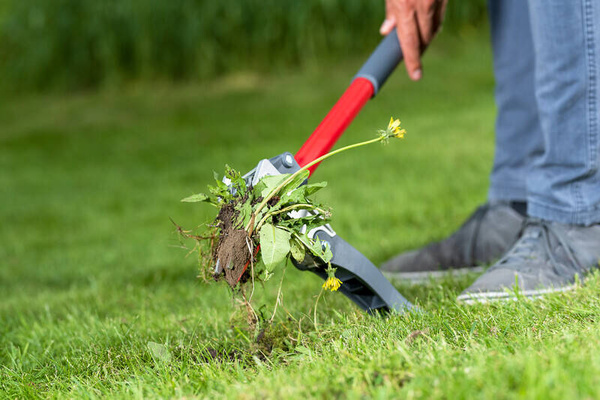 Wyrywacz do chwastów Wolf-Garten iW-A 73AAA001650