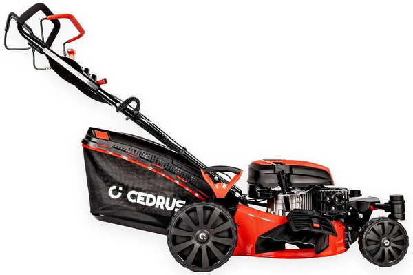 Kosiarka spalinowa Cedrus KS51S-ZT