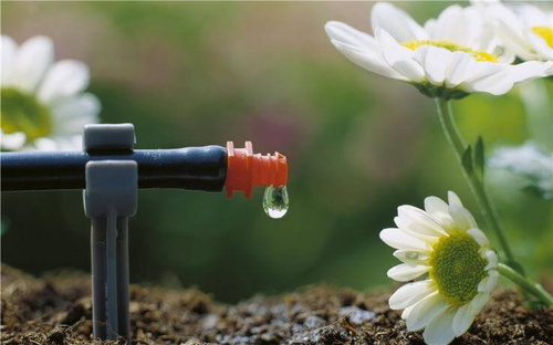 Zestaw Gardena Micro-Drip-System 13000-20 podstawowy S do roślin doniczkowych