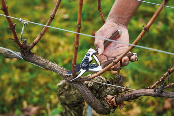 Sekator ręczny FELCO 6 Elite