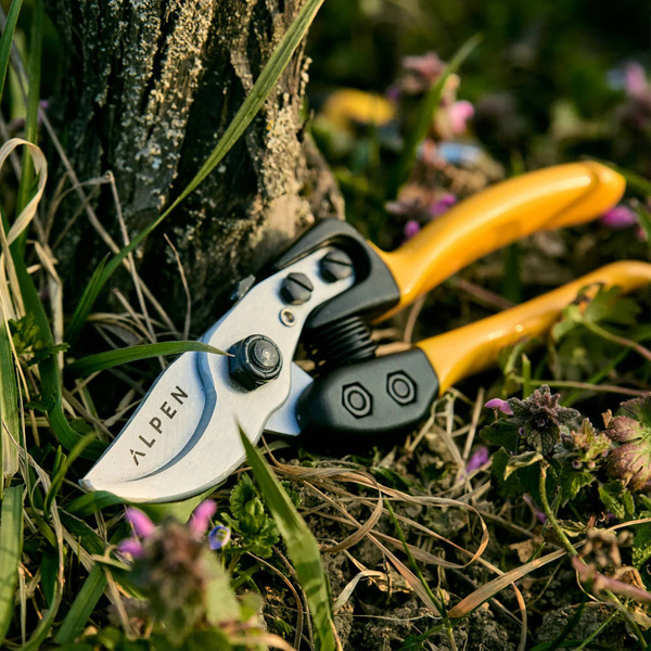 Sekator Alpen Gelbhorn 150