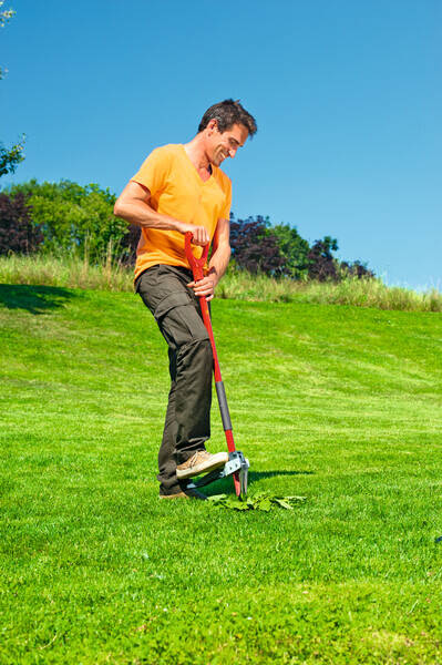 Wyrywacz do chwastów Wolf-Garten iW-A 73AAA001650