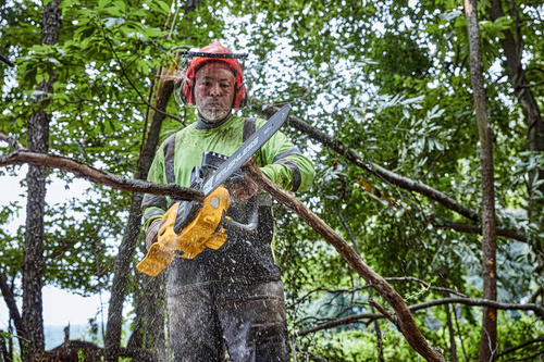 Pilarka łańcuchowa Dewalt DCMCS575X1