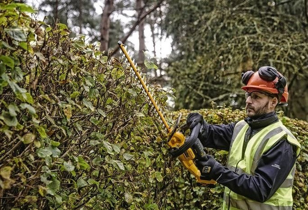 Akumulatorowe nożyce do żywopłotu DCMHT563N DeWalt