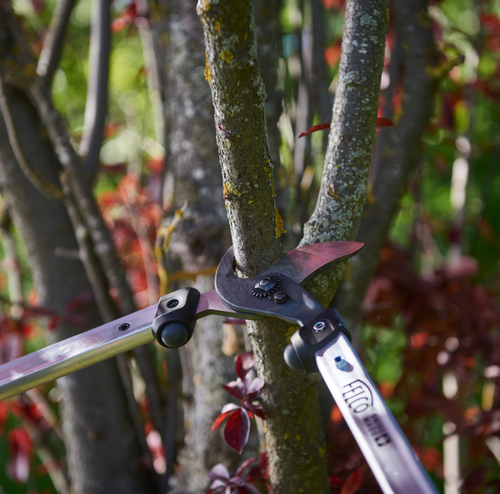 Sekator FELCO 211-50 50 cm