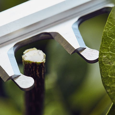 Nożyce do żywopłotu Stihl HSA 56